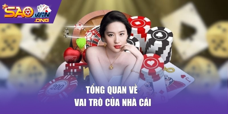 Tổng quan về vai trò của nhà cái